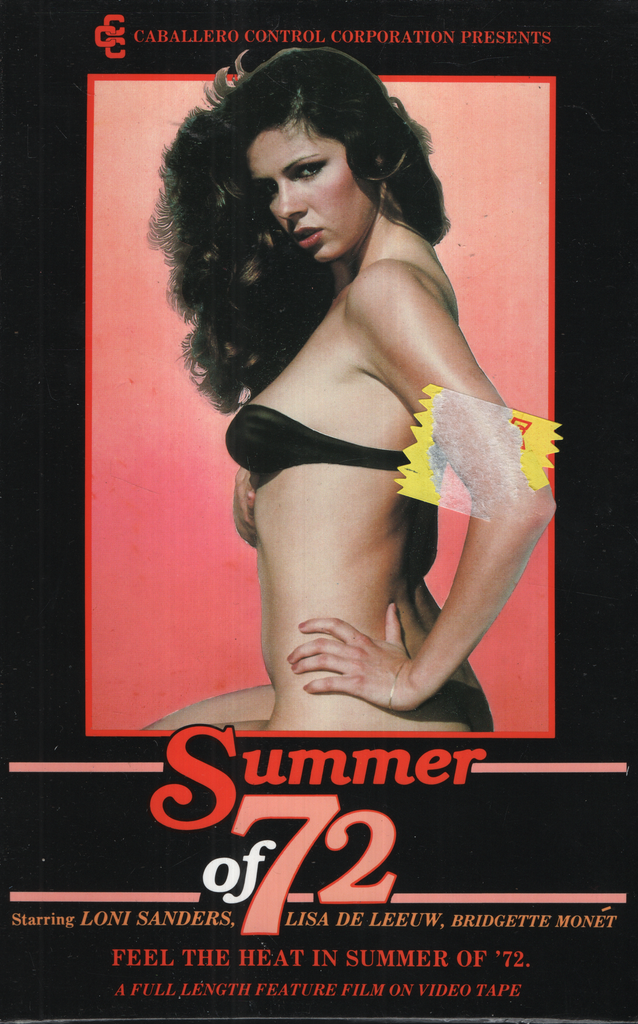 Summer Of 72 Loni Sanders Lisa De Leeuw Gemini Films Straight VHS 1982 073124EBVHS2