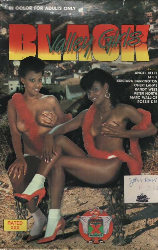 Black Valley Girls Angel Kelly Taffy Four Rivers Inc Bisexual VHS 1986 090924EBVHS