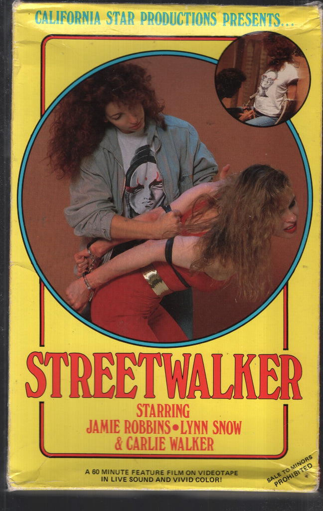 Streetwalker California Star Productions VHS Jamie Robbins Lynn Snow Carlie Walker 062025CBVHS