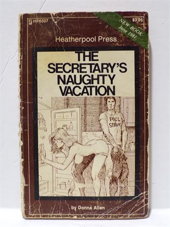 The Secretary's Naughty Vacation by Donna Allen, Paperback Book 1981 Heatherpool HP6507 091025WP-27