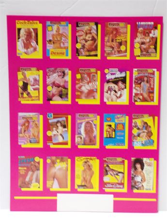 Atom Video Hardcore Adult Video 1990's Promo Slick Ad Sheet 061925WP-2