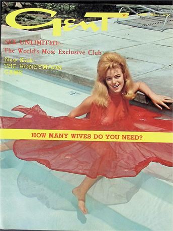 Gent Magazine w/ Bibi Laurent June 1966 011226AKP-76