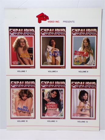 Excalibur TGA Video Inc Series Vol 7 to 10 Video Summaries 1990's Promo Slick Ad Sheet 061925WP-45