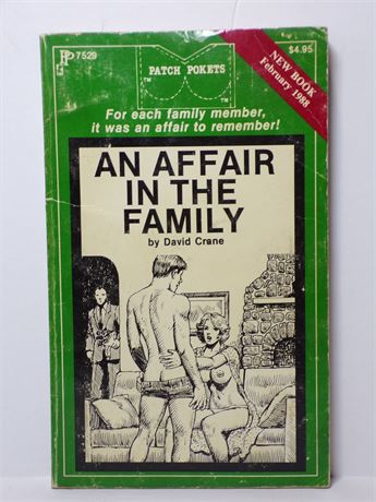 An Affair in the Family by David Crane, Paperback Novel 1980's Patch Pokets 7529 061125WP-72