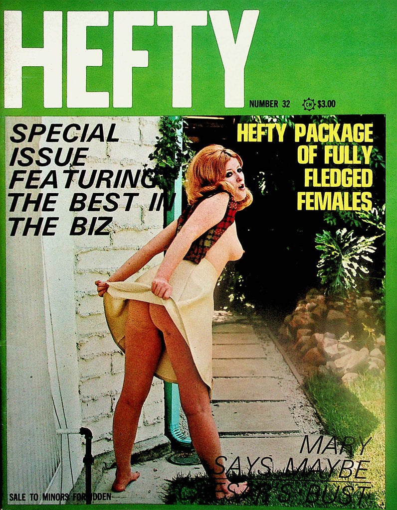 Hefty Busty Magazine  A Sizzler Called Tiger / Special Issue Featuring The Best In The Biz  #32  1970's  060624lm-p