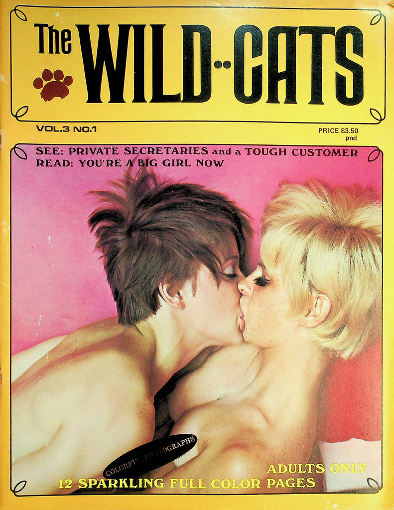 The Wild Cats Lesbian Magazine  Private Secretaries / You're A Big Girl Now  vol.3 #1  1969   060626lmp-GSC