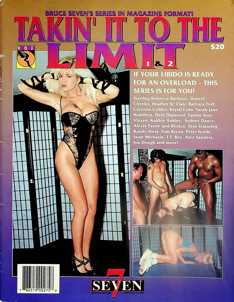Takin' It To The Limit Magazine  Danyel Cheeks, Barbara Doll, Sean Michaels and More!  #1 &2 1995    072024lm-p