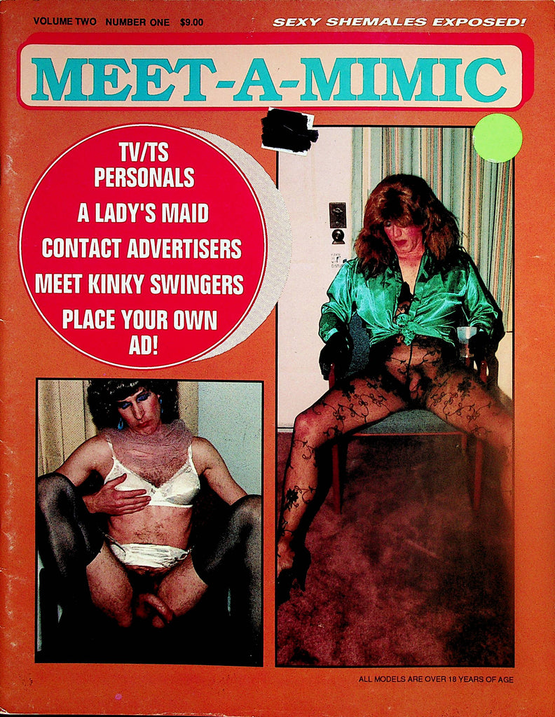 Meet-A-Mimic Contact Magazine  Kinky Swingers  vol.2 #1  1990   012224lm-p2