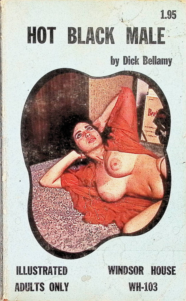 Hot Black Male by Dick Bellamy Windsor House WH-103 1970 Adult Erotic Paperback Novel-070924AMP