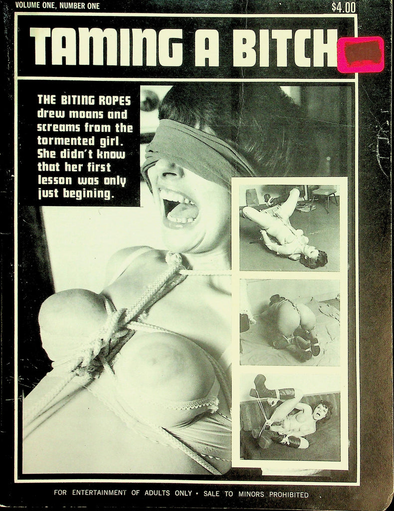 Taming A Bitch Bondage Magazine   Misbehaving Michele  vol.1 #1  1970's    021126lmp2