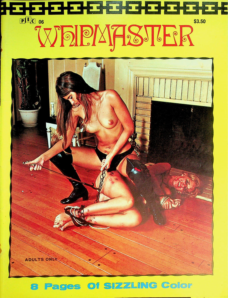 Whip Master Fetish Magazine  Love by Force  #1 1971   070426lmp-GSC