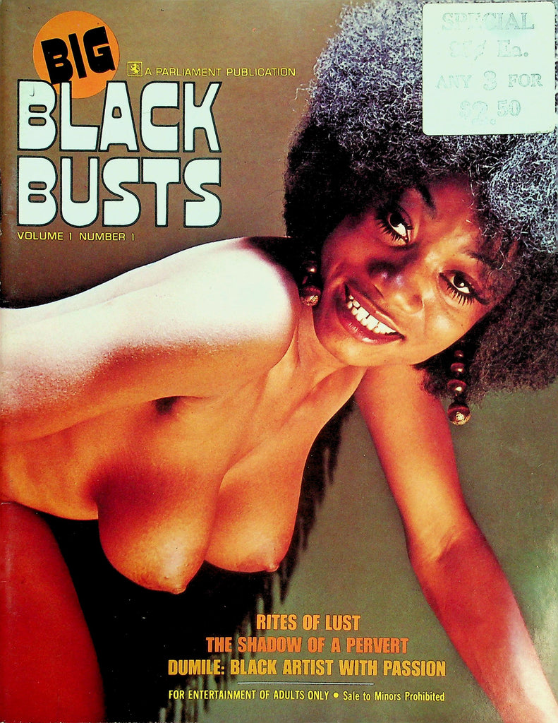 Black Busts Magazine  Covergirl Leila / Big Jugs, Matching Pearl's vol.1 #1  1972   072226lmp-GSC