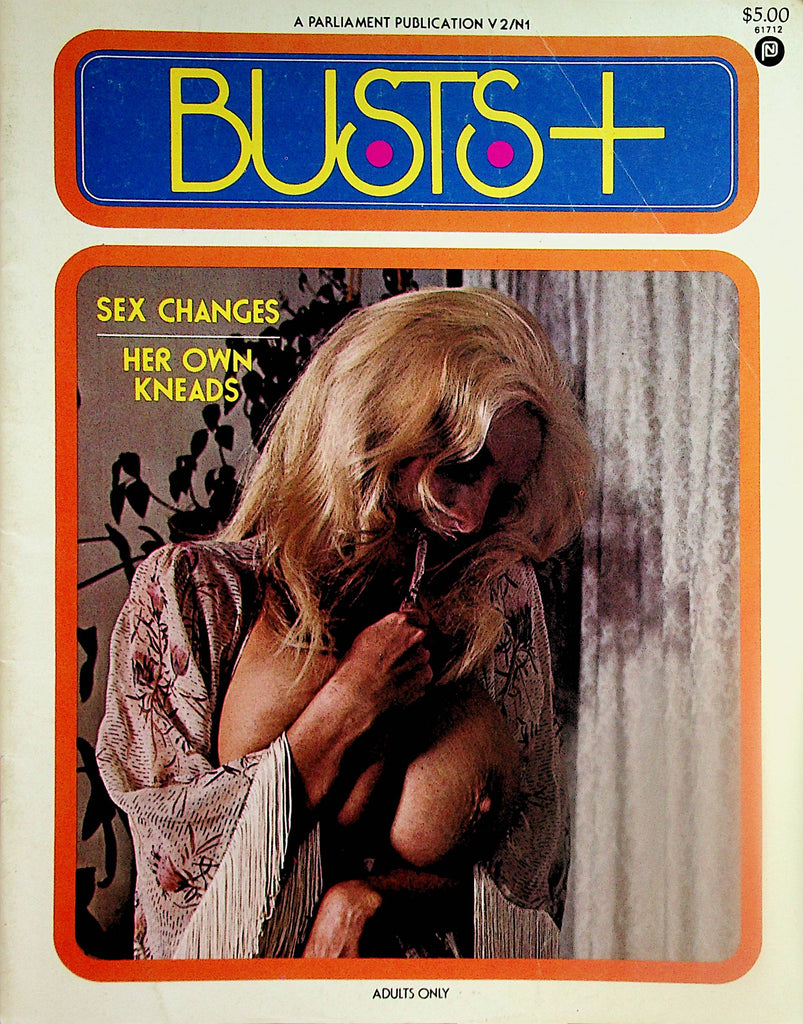 Busts +  Magazine  Chesty Blues / Her Own Kneads  vol.2 #1  1979    022324lm-p