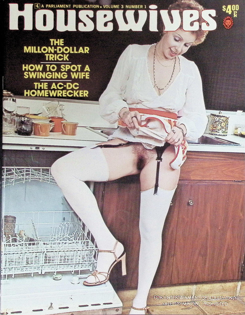 Housewives Magazine V3 N1 MIllion Dollar Trick 1976 090726LLP