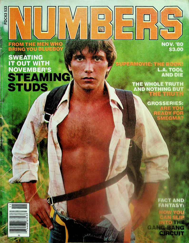 Numbers Gay Magazine  Cover/Centerfold Stud Van  November 1980    102425lm-p