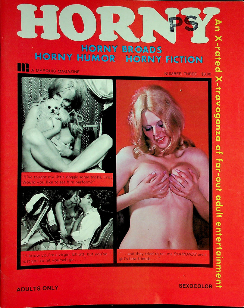 Horny Magazine  Horny Broads, Horny Humor, Horny Fiction  #3  1973  083126lmp-GSC