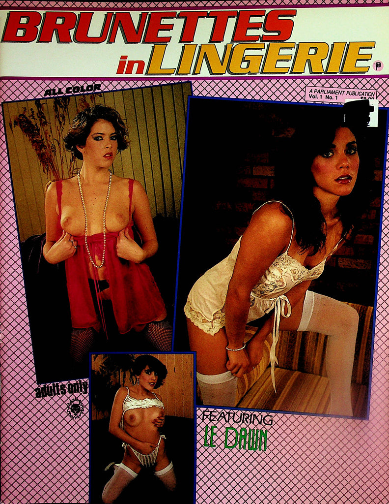 Brunettes In Lingerie Magazine  Featuring Le Dawn  vol.1 #1  1990  Parliament Publication   020324lm-p2