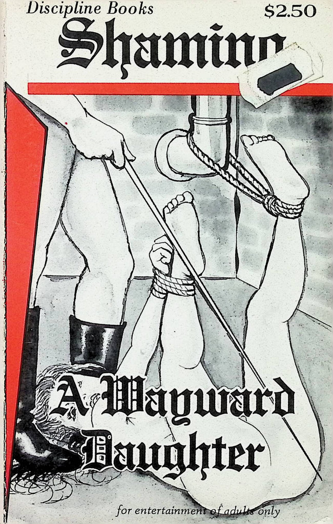 A Wayward Daughter Discipline Books DIS-136 1980 Star Dist Adult Paperback Novel-082724AMP