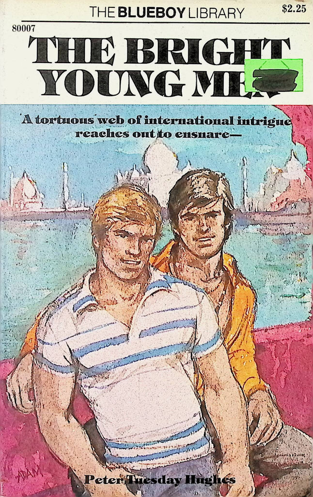 18+ The Bright Young Men by Peter Tuesday Hughes 1976 Blueboy Library Gay Male Star Distributors Gay Male Adult Paperback Novel-081524AMP