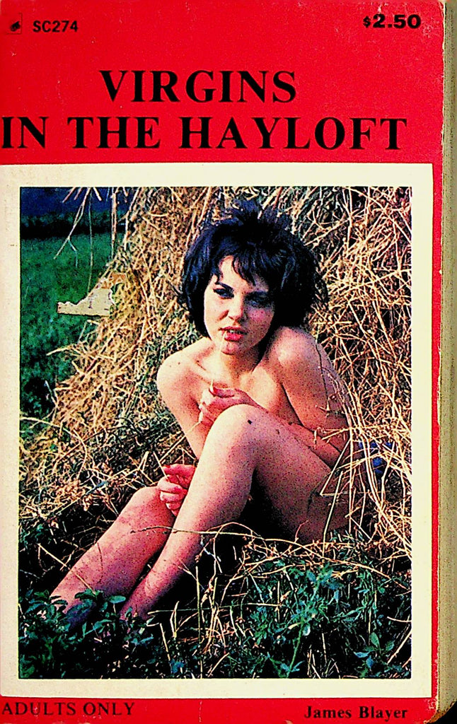 Virgins In The Hayloft Adult Novel by James Blayer   1978  070823lm-p2