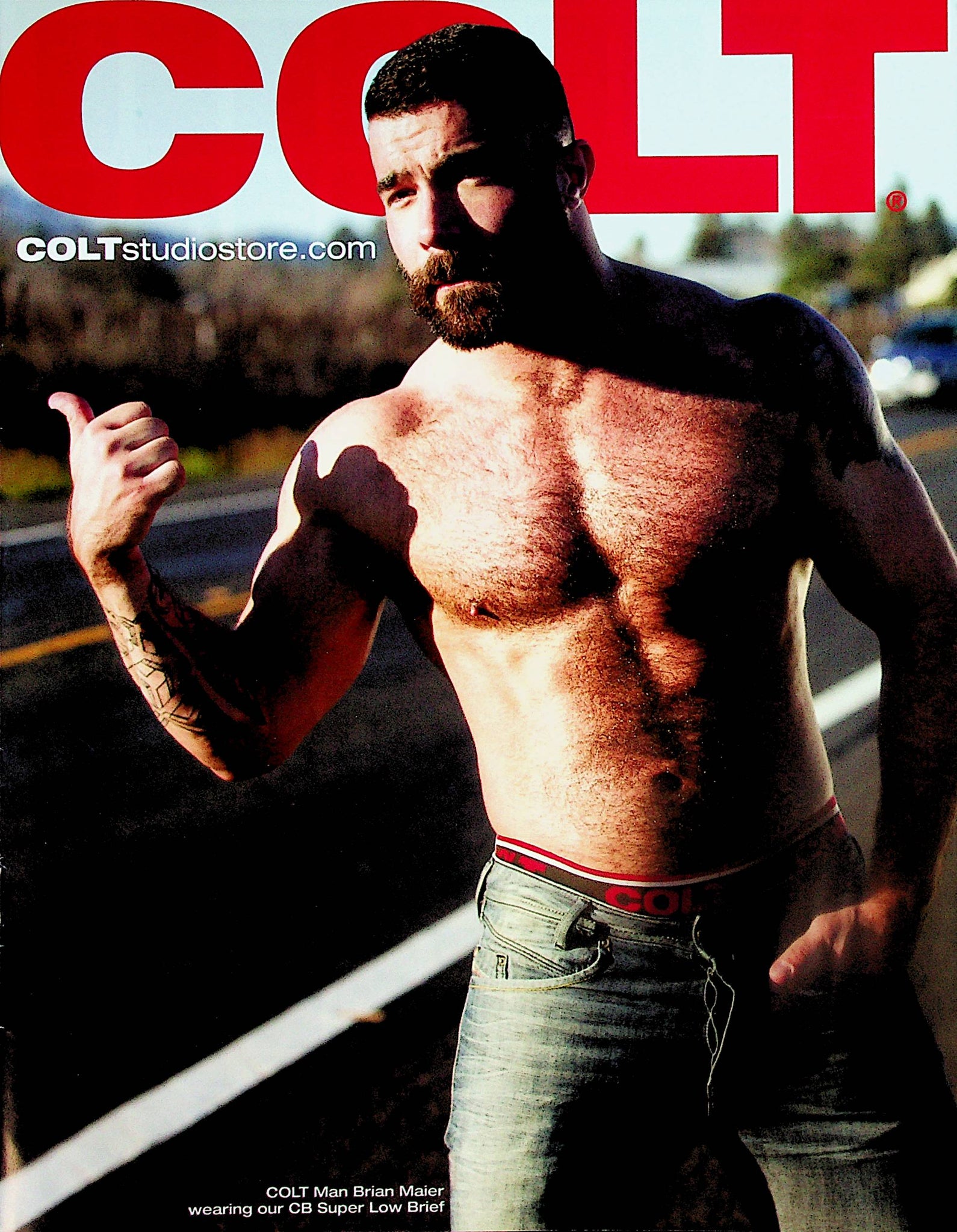 Colt Gay Catalog DVDs, Briefs, and Toys - Colt Man Brian Maier 1990's ...