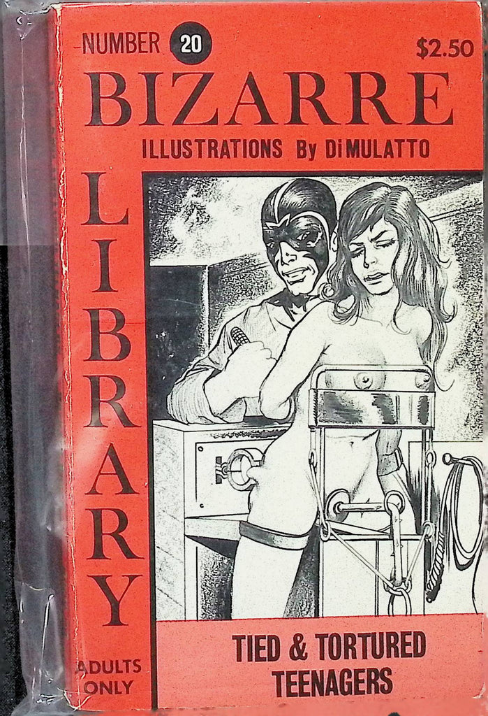 Tied Teenagers 18+ by Bernard Barry #20 1970s Bizarre Library Illustrations by Di Mulatto Star Distributors Adult Novel-042524AMP