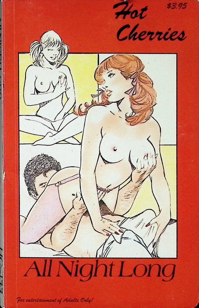 All night Long by Hot Cherries HC-133 1990 Star Distributors Adult Novel-043024AMP