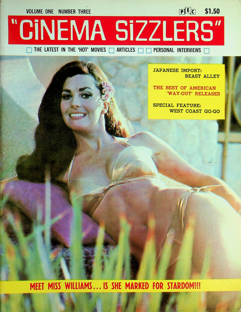 Cinema Sizzlers Magazine   Meet Miss Edy Williams / Liz Taylor In Who's Afraid Of Virginia Woolf?   vol.1 #3 1966    062826lmp-GSC
