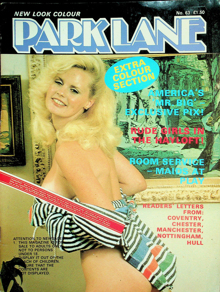 Park Lane Magazine  Room Service - Maids At Play #63 1980's   041926lmp