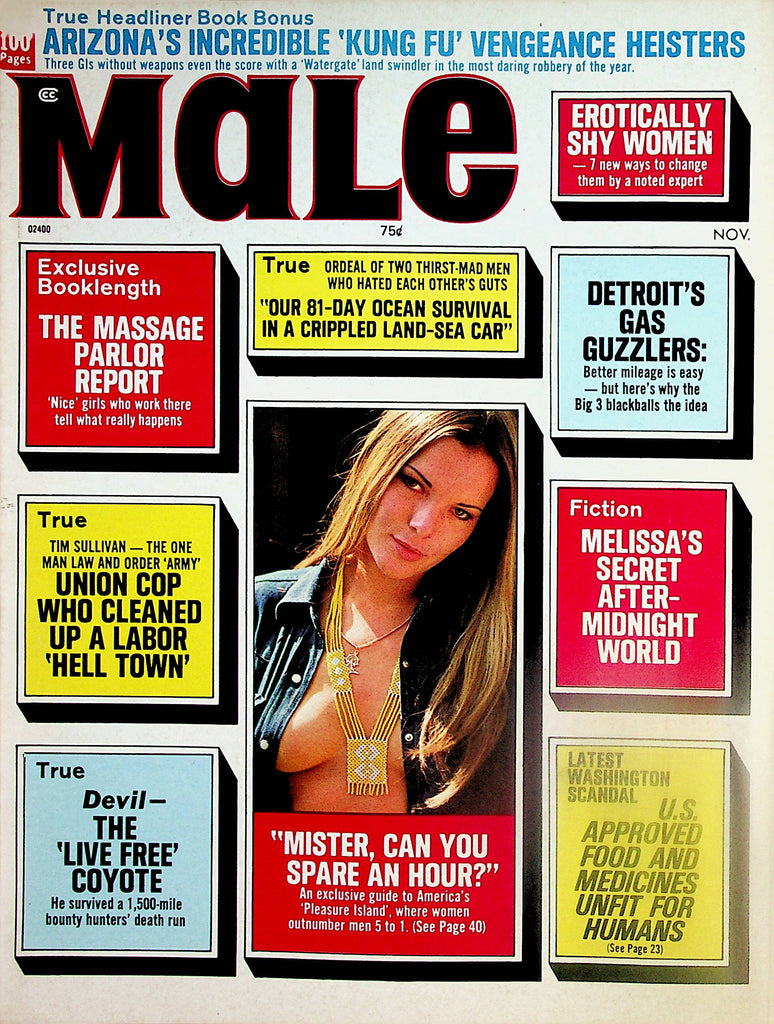 Male Magazine   Pleasure Island / Erotically Shy Women  November 1973     072024lm-p