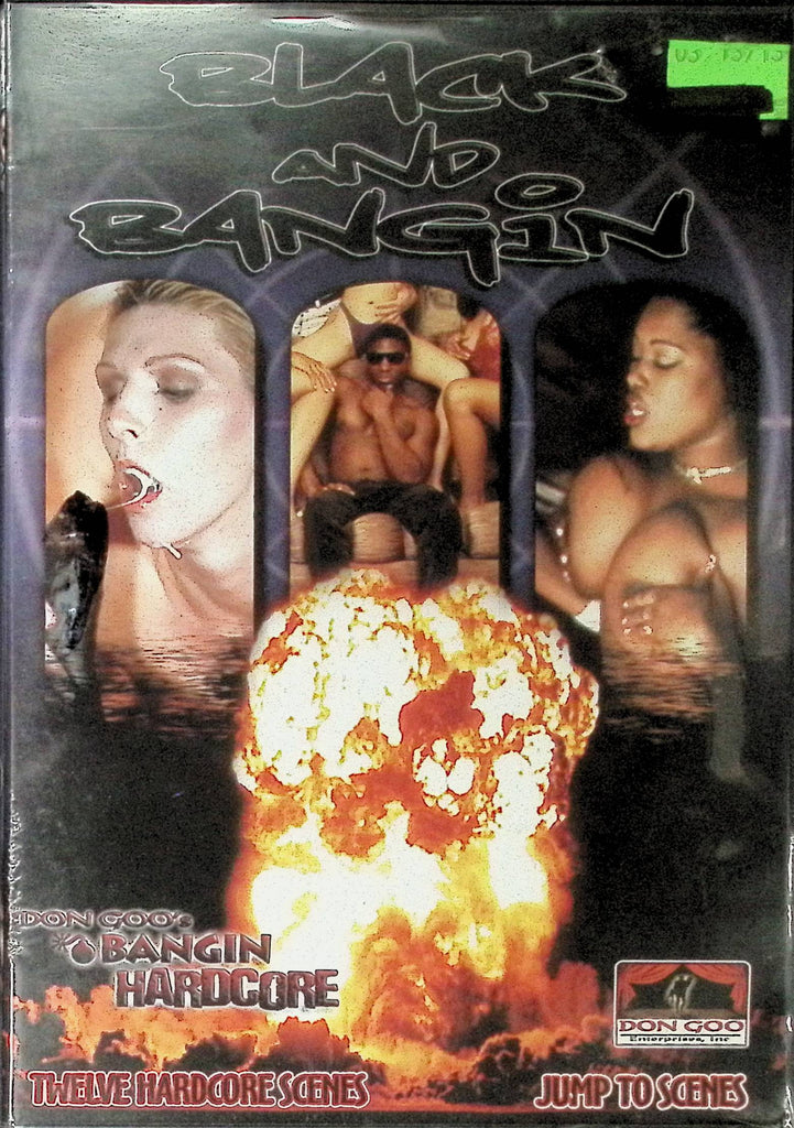 Black And Bangin 12 Hardcore Scenes Don Goo 020824tsdvd