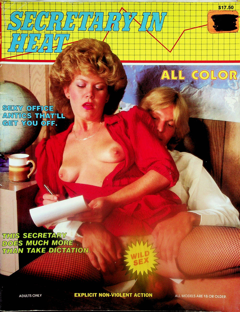 Secretary In Heat Magazine  Does More Than Take Dictation!  1980's    050725lm-p