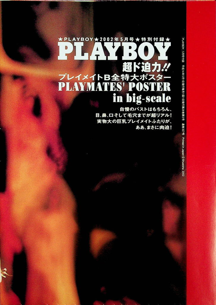 Playboy Playmates' Japan International Poster In Big-Scale Jennifer Wallcott / Nicole Van Croft   2002  070325lm-p