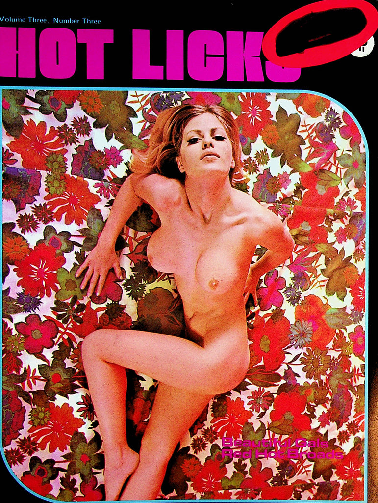 Hot Licks Magazine vol.3 #3 1979     062823lm-p