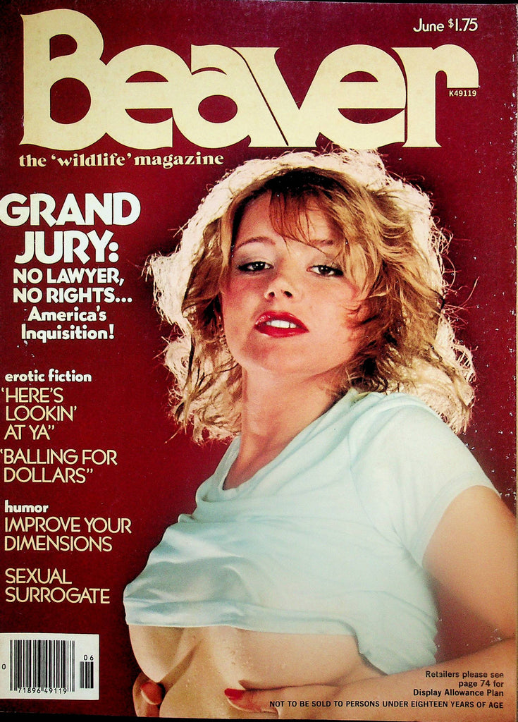 Beaver Magazine  Centerfold Girls Laura & Candy  June 1978  062825lm-p