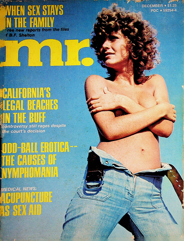 Mr. Busty Vintage Magazine  Centerfold Girl Brigitte  December 1974     051323lm-p