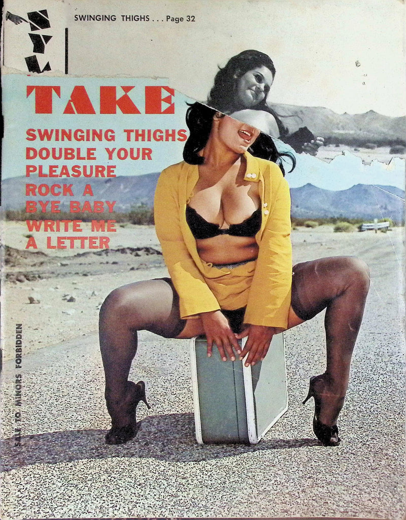 Nylon Double Take Magazine 1969 Swinging Thighs Double Your Pleasure 100426LLP