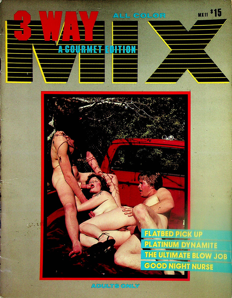 3 Way Mix Magazine   The Ultimate Blow Job / Good Night Nurse  #1 1980's  Gourmet Edition       033024lm-p