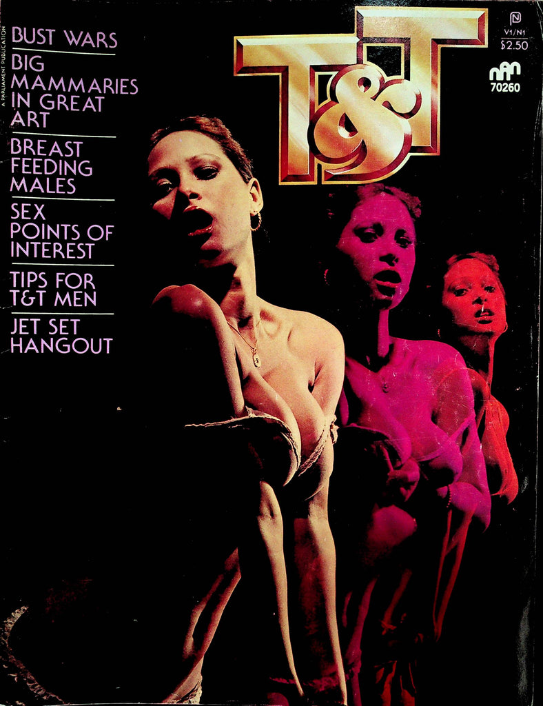 T&T Magazin  Bust Wars / Sex Points Of Interest  vol.1 #1  1978    090925lm-p