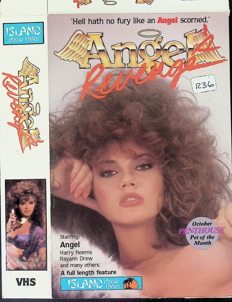 Angel's Revenge Angel Harry Reems Rayann Drew Adult VHS Island Home Video 040626AKVHS