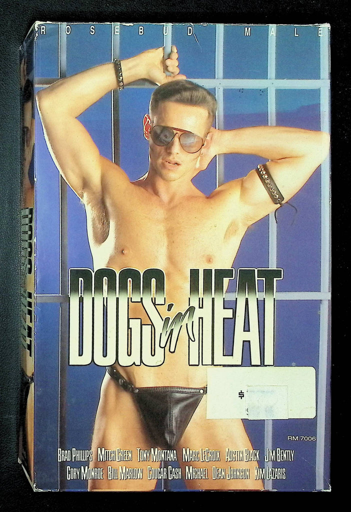 Dogs In Heat Rosebud Gay VHS 1992 Brad Phillips Mitch Green 071125DMVHS