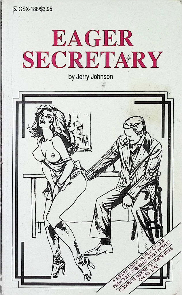 Eager Secretary by Jerry Johnson GSX-188 1990 Reprint Fly Leaf Adult Paperback Novel-081324AMP