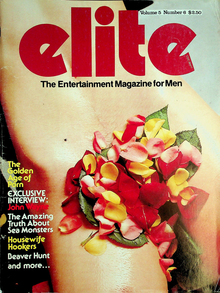 Elite Magazine  The Golden Age Of Porn / Centerfold Girl Sharon Day / John Wayne Interview  vol.5 #6 1980's 032526lmp