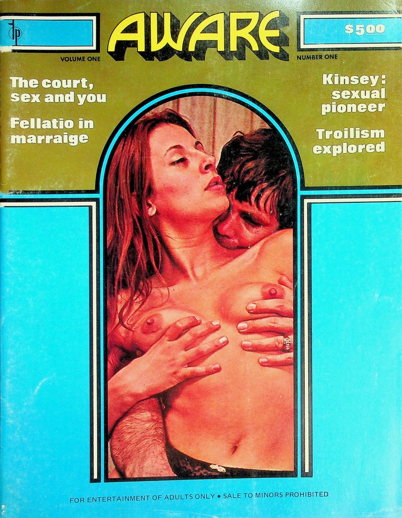Aware Magazine The Court, Sex and You / Fellatio In Marriage  vol.1 #1  1970's     091726lmp-GSC