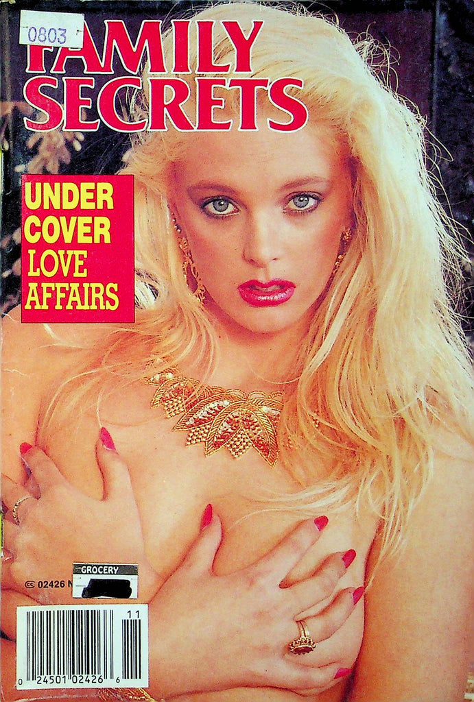 Family Secrets Digest Magazine Under Cover Love Affairs November 1991 052824RP2