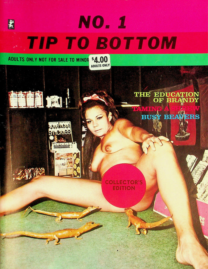 Tip To Bottom Magazine  The Education Of Brandy  #1 1969 Collector Edition    082026lmp-GSC