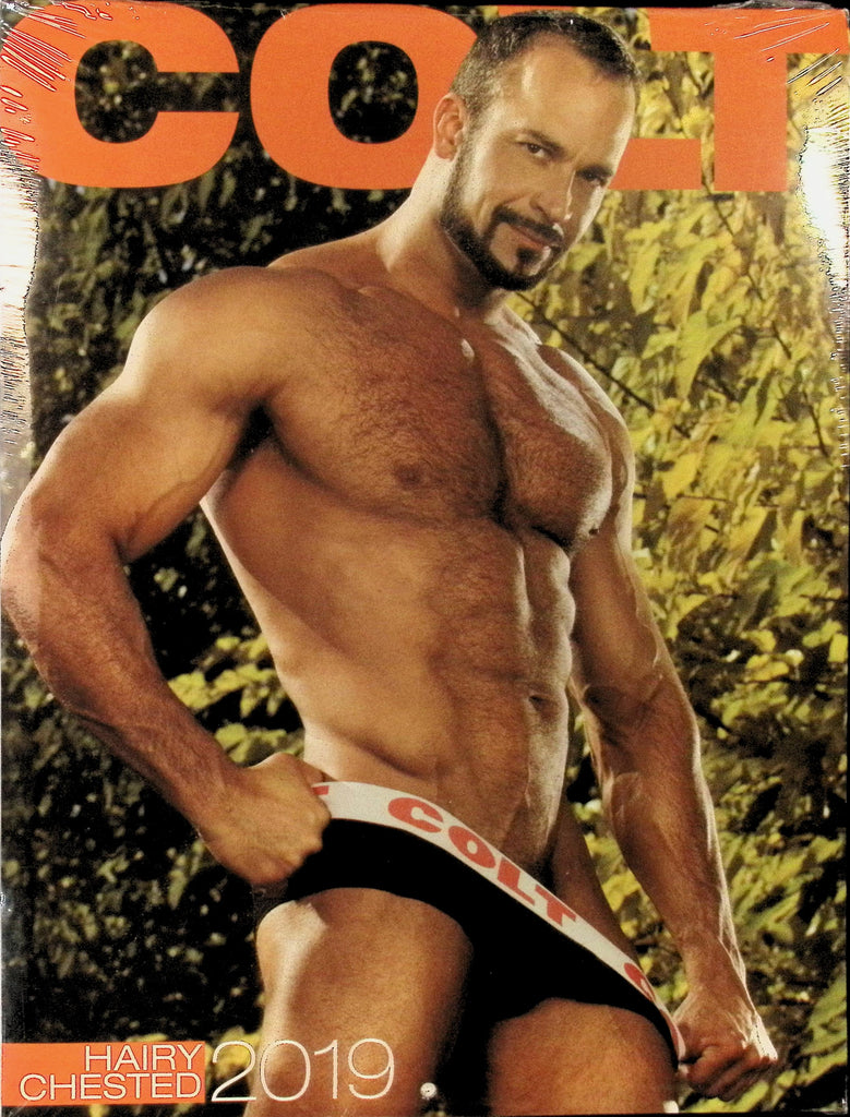 Colt Studio Hairy Chested 2019 Wall Calendar Gay Man BIG Hunky Buff Men 041326AMP