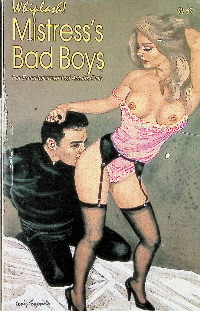 Mistress's Bad Boys Whiplash WP118 1993 Bondage Domination Star Distributors Adult Erotic Paperback Novel-062624AMP