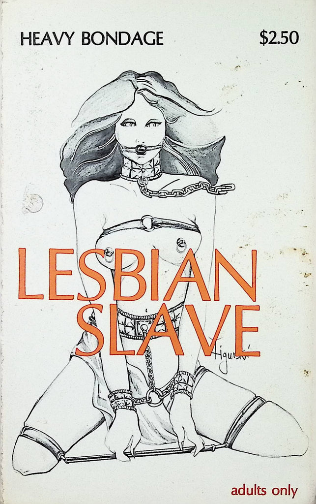 Lesbian Slave 1979 Heavy Bondage HYB-112 Star Distributors Adult Erotic Paperback Novel-060524AMP