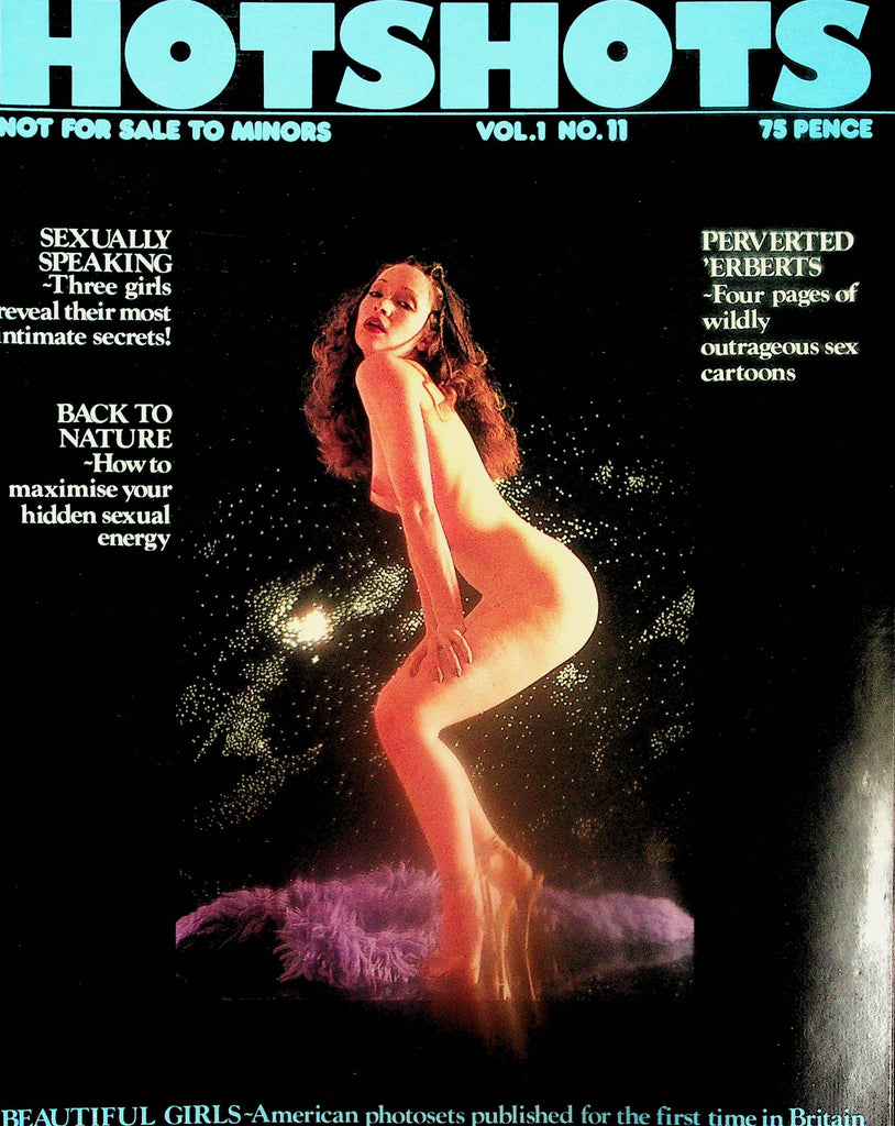 Hotshots Magazine   Sexually Speaking / Sonie From Persia With Love  vol.1 #2  1980's    092425lm-p2